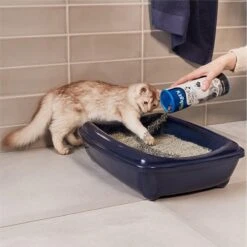 Biokat's Active Pearls - 700 Ml - Toevoeging Voor Kattenbakvulling Met Actieve Kool -Katten Benodigdheden Winkel 1200x1200 451