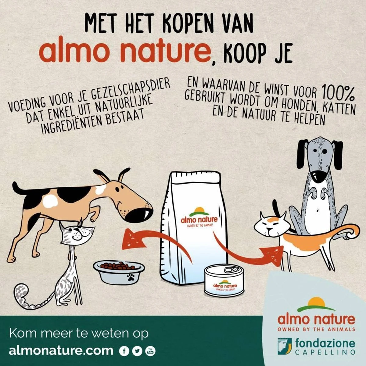 Almo Nature Zuinige Kattenbakvulling Klontvormend En Milieuvriendelijk - Inhoud 4,54 Kg 7 Almo Nature Zuinige Kattenbakvulling Klontvormend En Milieuvriendelijk - Inhoud 4,54 Kg - Afbeelding 5