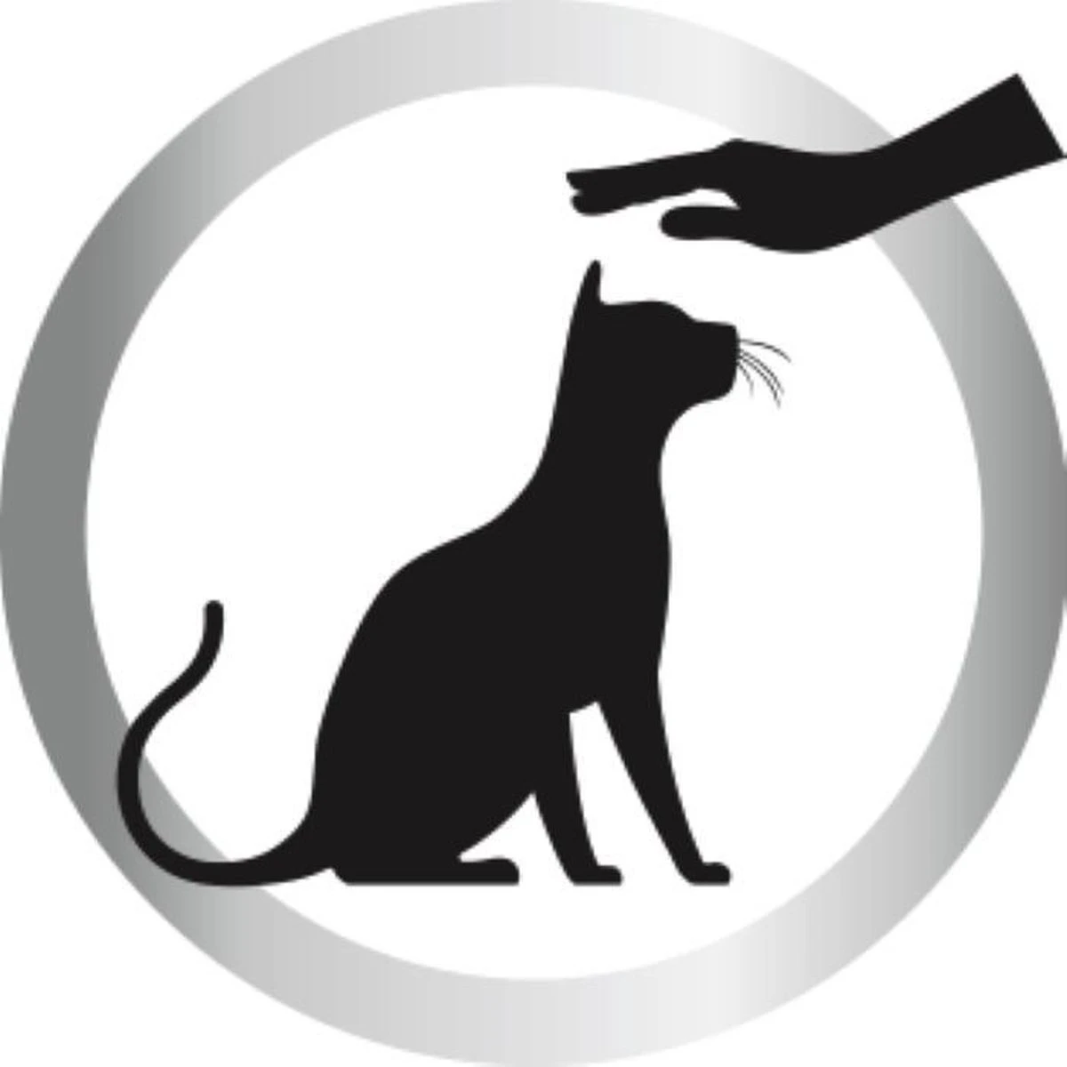 Biokat's Diamond Care Sensitive Classic - 6 L - Kattenbakvulling - Klontvormende - Zonder Geur - Aktieve Kool - Voor Gevoelige Katten 10 Biokat's Diamond Care Sensitive Classic - 6 L - Kattenbakvulling - Klontvormende - Zonder Geur - Aktieve Kool - Voor Gevoelige Katten - Afbeelding 8