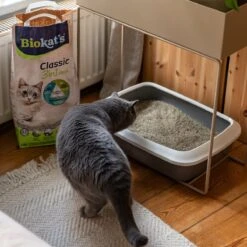 Biokat's Classic Fresh 3in1 - 18 L - Kattenbakvulling - Klontvormend - Lente Geur 14 Biokat's Classic Fresh 3in1 - 18 L - Kattenbakvulling - Klontvormend - Lente Geur -Katten Benodigdheden Winkel 1200x1200 505