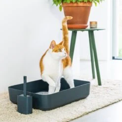Hoopo® Poh Kattenbak Grijs - Open Kattenbak - Design Kattenbak - Kattenbakschep - 50x37.5x12.7 Cm - Grote Kattenbak 10 Hoopo® Poh Kattenbak Grijs - Open Kattenbak - Design Kattenbak - Kattenbakschep - 50x37.5x12.7 Cm - Grote Kattenbak -Katten Benodigdheden Winkel 1200x1200 512