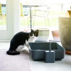 Hoopo® Poh Kattenbak Grijs - Open Kattenbak - Design Kattenbak - Kattenbakschep - 50x37.5x12.7 Cm - Grote Kattenbak 11 Hoopo® Poh Kattenbak Grijs - Open Kattenbak - Design Kattenbak - Kattenbakschep - 50x37.5x12.7 Cm - Grote Kattenbak -Katten Benodigdheden Winkel 1200x1200 513