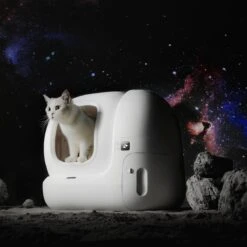 PETKIT® Pura MAX – Automatische Kattenbak – Elektrisch – Kattenbak Zelfreinigend – Bedienen Via De App 15 PETKIT® Pura MAX – Automatische Kattenbak – Elektrisch – Kattenbak Zelfreinigend – Bedienen Via De App -Katten Benodigdheden Winkel 1200x1200 520