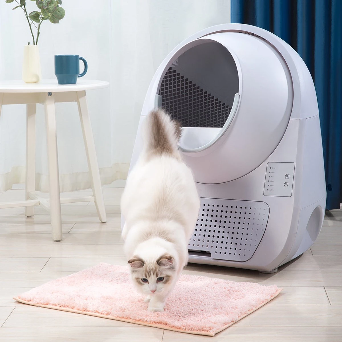 Catlink Smart Litter Box - Scooper Young - Zelfreinigende Kattenbak Zonder Wifi - Kleur Grijs 11 Catlink Smart Litter Box - Scooper Young - Zelfreinigende Kattenbak Zonder Wifi - Kleur Grijs - Afbeelding 9