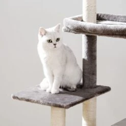 Signature Home Catty Krabpaal Met Kattenbak - Kattenbakkast - Kattenhuis Met Deur En Slot - Krabpalen Met Hangmat Mand Katten Huis - Kattenbakmeubel Verborgen - Alles-in-één Kattenspeelgoed Met Kattenhuis - Grijs - 60cm X 150cm X 48cm -Katten Benodigdheden Winkel 1200x1200 618