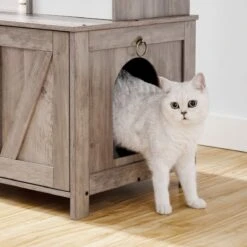 Signature Home Catty Krabpaal Met Kattenbak - Kattenbakkast - Kattenhuis Met Deur En Slot - Krabpalen Met Hangmat Mand Katten Huis - Kattenbakmeubel Verborgen - Alles-in-één Kattenspeelgoed Met Kattenhuis - Grijs - 60cm X 150cm X 48cm -Katten Benodigdheden Winkel 1200x1200 621