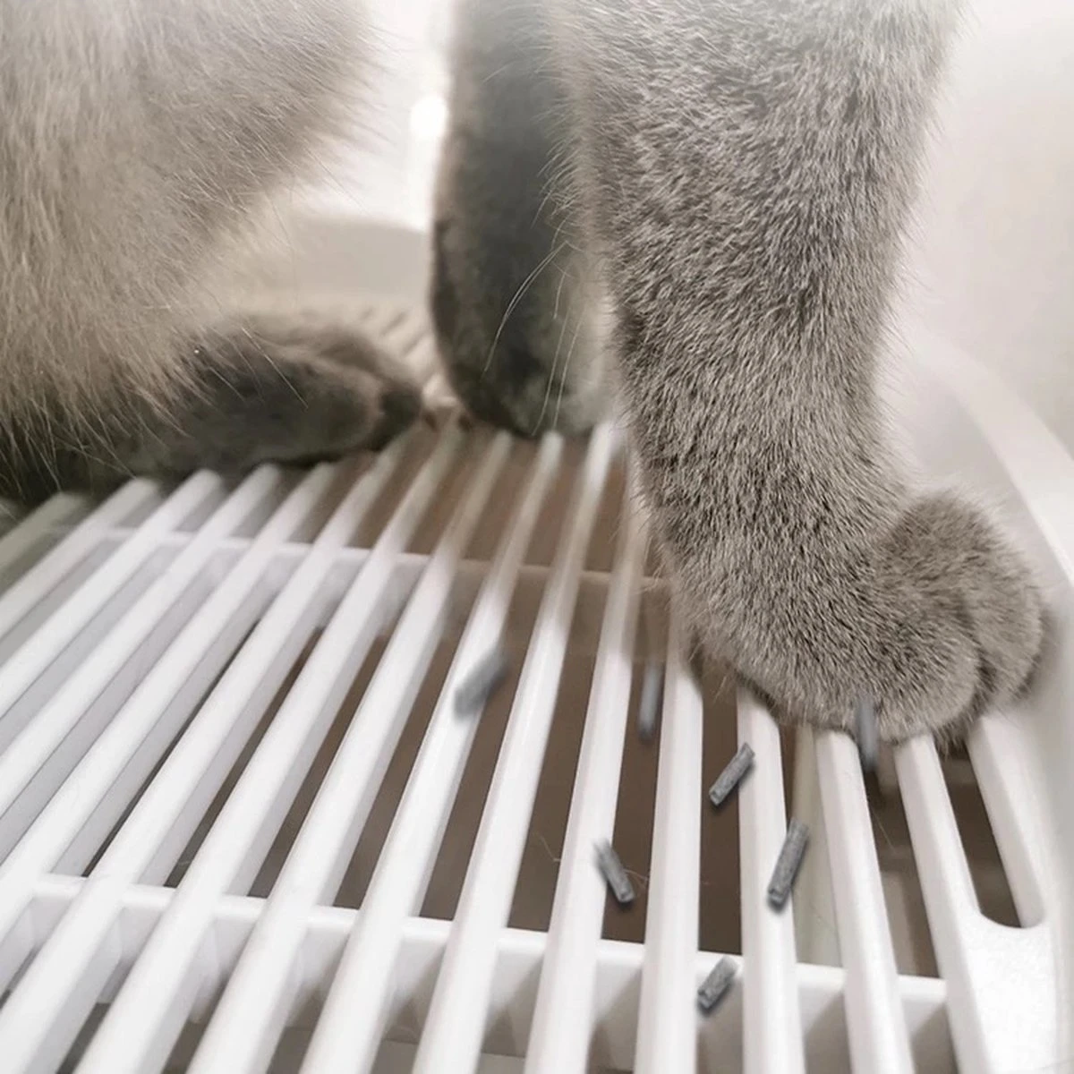 Skipoo Kattenbak Space Series - Kattenmand Met Lade - Inclusief Kattenbak Schep - Grote Kattenbak 6 Skipoo Kattenbak Space Series - Kattenmand Met Lade - Inclusief Kattenbak Schep - Grote Kattenbak - Afbeelding 4