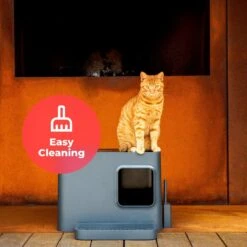 Hoopo® Dome Plus Kattenbak Grijs - Kattenbak - Kattenbakschep - 50x37.5x38cm - Grote Kattenbak -Katten Benodigdheden Winkel 1200x1200 629