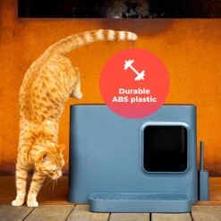 Hoopo® Dome Plus Kattenbak Grijs - Kattenbak - Kattenbakschep - 50x37.5x38cm - Grote Kattenbak -Katten Benodigdheden Winkel 1200x1200 630