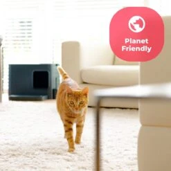 Hoopo® Dome Plus Kattenbak Grijs - Kattenbak - Kattenbakschep - 50x37.5x38cm - Grote Kattenbak -Katten Benodigdheden Winkel 1200x1200 631