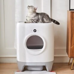 PETKIT Pura X Self-Cleaning Cat Litter Box, No Scooping Automatic Cat Litter Box Fr Multiple Cats, XSecure/Odor Removal/APP Control Automatic Cat Littler Box With Mat -Katten Benodigdheden Winkel 1200x1200 653