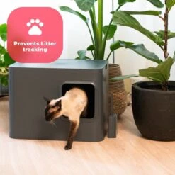 Hoopo® Dome Kattenbak Grijs - Kattenbak - Kattenbakschep - Kattenbakmat -Katten Benodigdheden Winkel 1200x1200 697