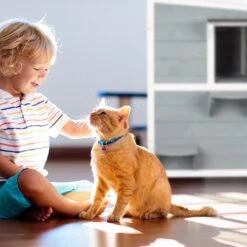 Relaxdays Kattenhuis Buiten - Groot Kattenhok Binnen - Hoog Kattenmeubel Grijs Hout - Tuin 16 Relaxdays Kattenhuis Buiten - Groot Kattenhok Binnen - Hoog Kattenmeubel Grijs Hout - Tuin -Katten Benodigdheden Winkel 1200x1200 743