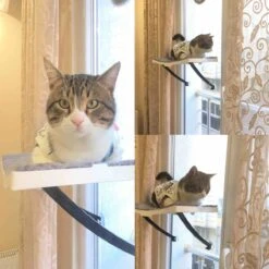 Hobipets - Kattenmand Raam - 5 Zuignappen - Hangmat Kat Raam 9 Hobipets - Kattenmand Raam - 5 Zuignappen - Hangmat Kat Raam -Katten Benodigdheden Winkel 1200x1200 747