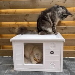 RHRQuality Kattenhuis Voor Binnen En Buiten Kattenhok Villa De Luxe Wit 60cm -Katten Benodigdheden Winkel 1200x1200 765