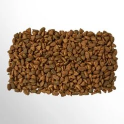 Perfect Fit Indoor 1+ Katten Droogvoer - Kip - 4 X 750 Gr -Katten Benodigdheden Winkel 1200x1200 79