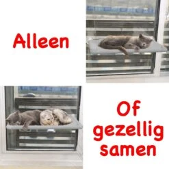 Merkloos Kattenhangmat - Kattenbed - Hangmat Kat Raam Ook Voor Radiator En Deur - Kattenmand Raam En Radiator - Katten Hangmat - Radiatorhangmat Kat Kattenstoel - Tijdelijk Met Extra Hangmat Hoes -Katten Benodigdheden Winkel 1200x1200 796