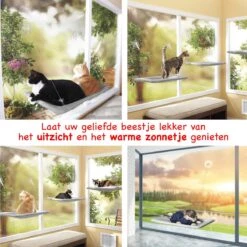 Merkloos Kattenhangmat - Kattenbed - Hangmat Kat Raam Ook Voor Radiator En Deur - Kattenmand Raam En Radiator - Katten Hangmat - Radiatorhangmat Kat Kattenstoel - Tijdelijk Met Extra Hangmat Hoes -Katten Benodigdheden Winkel 1200x1200 797