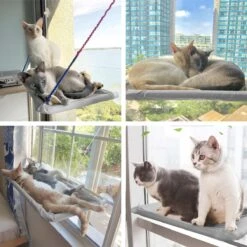 Merkloos Kattenhangmat - Kattenbed - Hangmat Kat Raam Ook Voor Radiator En Deur - Kattenmand Raam En Radiator - Katten Hangmat - Radiatorhangmat Kat Kattenstoel - Tijdelijk Met Extra Hangmat Hoes -Katten Benodigdheden Winkel 1200x1200 798