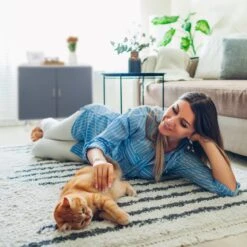 Katten Benodigdheden Winkel 21 Katten Benodigdheden Winkel -Katten Benodigdheden Winkel 1200x1200 842