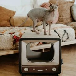 District 70 TELLY - Retro TV Krabmeubel - Instagrammable Kartonnen TV Voor Katten - 39 X 27 X 37 Cm 17 District 70 TELLY - Retro TV Krabmeubel - Instagrammable Kartonnen TV Voor Katten - 39 X 27 X 37 Cm -Katten Benodigdheden Winkel 1200x1200 853