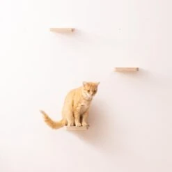 Navaris Katten Klimmuur 3 Tredes - 18 X 18 X 1,5 Cm Per Plankje - Katten Klimwand Van Hout - Inclusief Bevestigingsmateriaal -Katten Benodigdheden Winkel 1200x1200 880