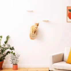 Navaris Katten Klimmuur 3 Tredes - 18 X 18 X 1,5 Cm Per Plankje - Katten Klimwand Van Hout - Inclusief Bevestigingsmateriaal -Katten Benodigdheden Winkel 1200x1200 881