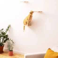 Navaris Katten Klimmuur 3 Tredes - 18 X 18 X 1,5 Cm Per Plankje - Katten Klimwand Van Hout - Inclusief Bevestigingsmateriaal -Katten Benodigdheden Winkel 1200x1200 882