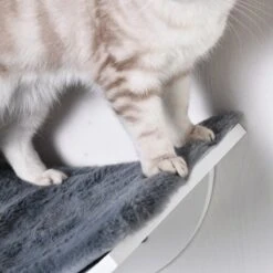 Merkloos Paws And Claws - Cat Shelf – Hangmat Kat – Kattenplank - Kattenbed - Wasbaar – Wandmontage – MDF - Wit 16 Merkloos Paws And Claws - Cat Shelf – Hangmat Kat – Kattenplank - Kattenbed - Wasbaar – Wandmontage – MDF - Wit -Katten Benodigdheden Winkel 1200x1200 911