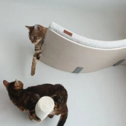 COSY AND DOZY Cat Shelf Deluxe WIT – Hangmat Kat – Maple Hout - 90 X 41 Cm - Kattenplank - Katten Muur -Katten Benodigdheden Winkel 1200x1200 918