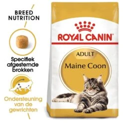 Royal Canin Maine Coon Adult - Kattenvoer - 10 Kg -Katten Benodigdheden Winkel 1200x1200 97