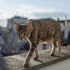 Kattennet Premium - 600 X 300 CM - Kattennet Voor Balkon - Transparant - Balkon Net - Makkelijk Te Monteren 14 Kattennet Premium - 600 X 300 CM - Kattennet Voor Balkon - Transparant - Balkon Net - Makkelijk Te Monteren -Katten Benodigdheden Winkel 1200x1200 971