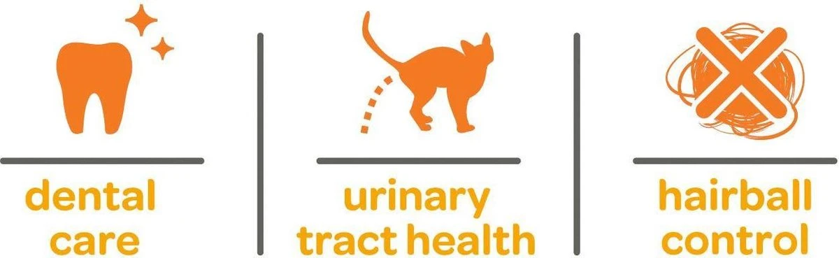 Smolke Kattenvoer Adult Kip 2 Kg 15 Smolke Kattenvoer Adult Kip 2 Kg - Afbeelding 13