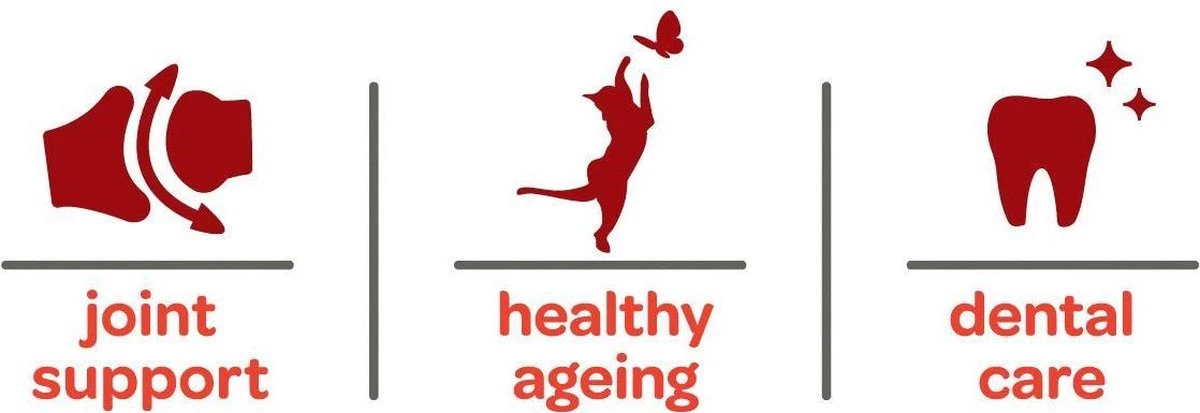 Smolke Senior Kat 4 Kg - Kat 20 Smolke Senior Kat 4 Kg - Kat - Afbeelding 18