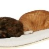 COSY AND DOZY Cat Shelf Deluxe WIT – Hangmat Kat – Maple Hout - 90 X 41 Cm - Kattenplank - Katten Muur -Katten Benodigdheden Winkel 1200x417 2