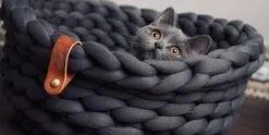 Djambo Kattenmanden, Gevlochten En Zachte Kattenbed, Comfortabel En Warm. -Katten Benodigdheden Winkel 1200x600 1