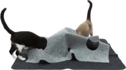 Trixie Cat Activity Adventure Carpet Grijs 99x99 Cm 33 Trixie Cat Activity Adventure Carpet Grijs 99x99 Cm -Katten Benodigdheden Winkel 1200x674 3