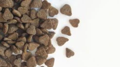 Carocroc Adult - Lam - Kattenvoer - 15 Kg 15 Carocroc Adult - Lam - Kattenvoer - 15 Kg -Katten Benodigdheden Winkel 1200x675 2