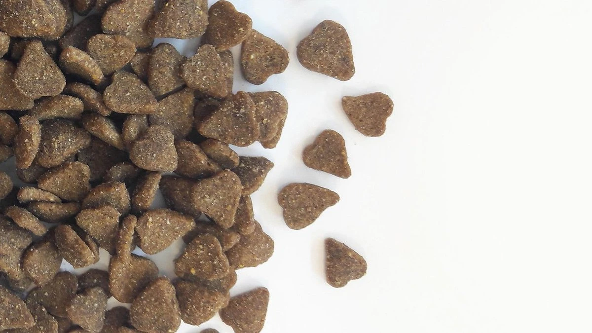 Carocroc Adult - Lam - Kattenvoer - 15 Kg 8 Carocroc Adult - Lam - Kattenvoer - 15 Kg - Afbeelding 6