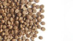 Carocroc Kitten Food - Kattenvoer - 7 Kg -Katten Benodigdheden Winkel 1200x675