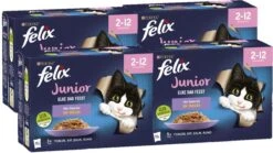 Felix Elke Dag Feest Mix Selectie In Gelei Junior - Katten Droogvoer - 48 X 85g -Katten Benodigdheden Winkel 1200x676