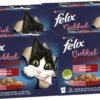 Felix Dubbel Zo Lekker Mix Selectie In Gelei - Katten Natvoer - 48 X 85g -Katten Benodigdheden Winkel 1200x681