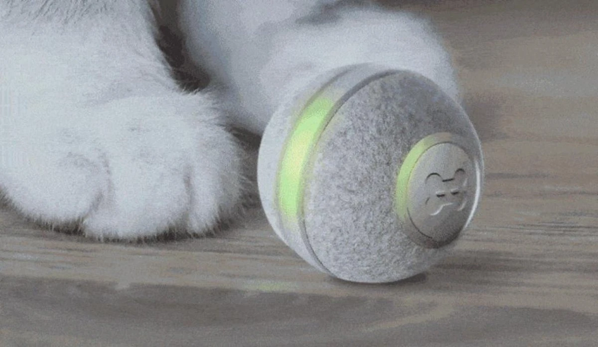 Cheerble Mini Ball 2.0 - Slimme Interactieve Zelf Rollende Bal Voor Katten - 3 Speelmodi - Kattenspeeltjes - USB Oplaadbaar - Rood 12 Cheerble Mini Ball 2.0 - Slimme Interactieve Zelf Rollende Bal Voor Katten - 3 Speelmodi - Kattenspeeltjes - USB Oplaadbaar - Rood - Afbeelding 10
