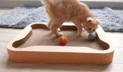 Cheerble Mini Ball 2.0 - Slimme Interactieve Zelf Rollende Bal Voor Katten - 3 Speelmodi - Kattenspeeltjes - USB Oplaadbaar - Rood 25 Cheerble Mini Ball 2.0 - Slimme Interactieve Zelf Rollende Bal Voor Katten - 3 Speelmodi - Kattenspeeltjes - USB Oplaadbaar - Rood -Katten Benodigdheden Winkel 1200x699 2