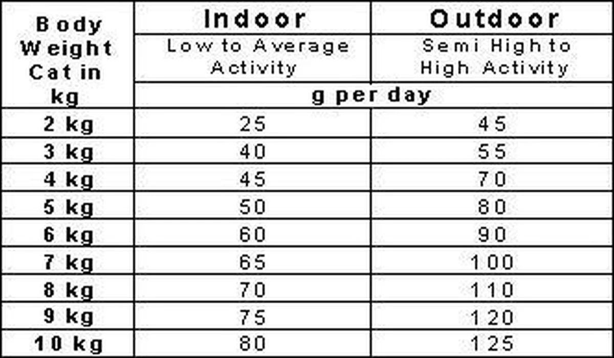 Smolke Senior Kat 4 Kg - Kat 9 Smolke Senior Kat 4 Kg - Kat - Afbeelding 7