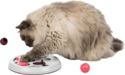 Trixie Cat Activity Flip Board Bes / Roze / Lichtgrijs 23x23 Cm 15 Trixie Cat Activity Flip Board Bes / Roze / Lichtgrijs 23x23 Cm -Katten Benodigdheden Winkel 1200x721