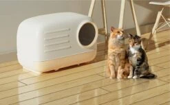 Merkloos PETLUX® XL Kattenbak Retro Design Met Lade, Schep En Opbergruimte - Grote Kattenbak - Kaki -Katten Benodigdheden Winkel 1200x742 1