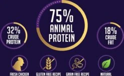 Avalon Petfood + Verse Kip Super Premium - Kattenvoer - 5Kg -Katten Benodigdheden Winkel 1200x745 1