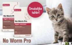 No Worm Pro Kat & Kitten - Anti Wormenmiddel - 2 X 2 Tab Vanaf 0.5 Kg Vanaf 6 Weken -Katten Benodigdheden Winkel 1200x750 1