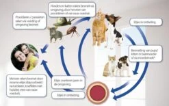 Beaphar Milquestra Ontworming Tabletten Kat 2 - 12 Kg 4 Tabletten -Katten Benodigdheden Winkel 1200x751 3